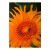 a1392a510fbfba546b3070aa9fc0393e