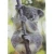 twardy-brulion-a4-96-kartek-kratkajpg.webp