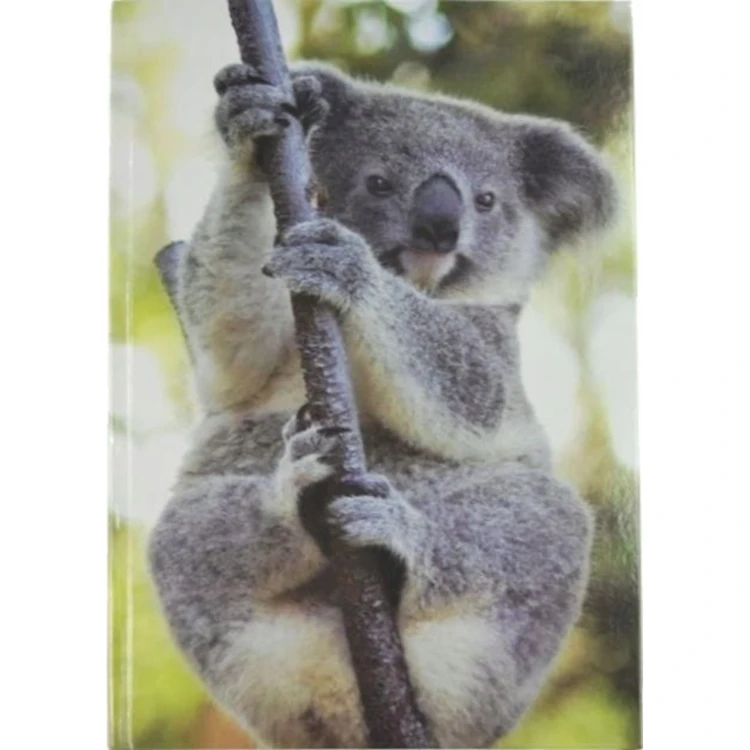 twardy-brulion-a4-96-kartek-kratkajpg.webp
