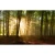 zeszyt-a4-w-linie-96-kartkowyjpg.webp