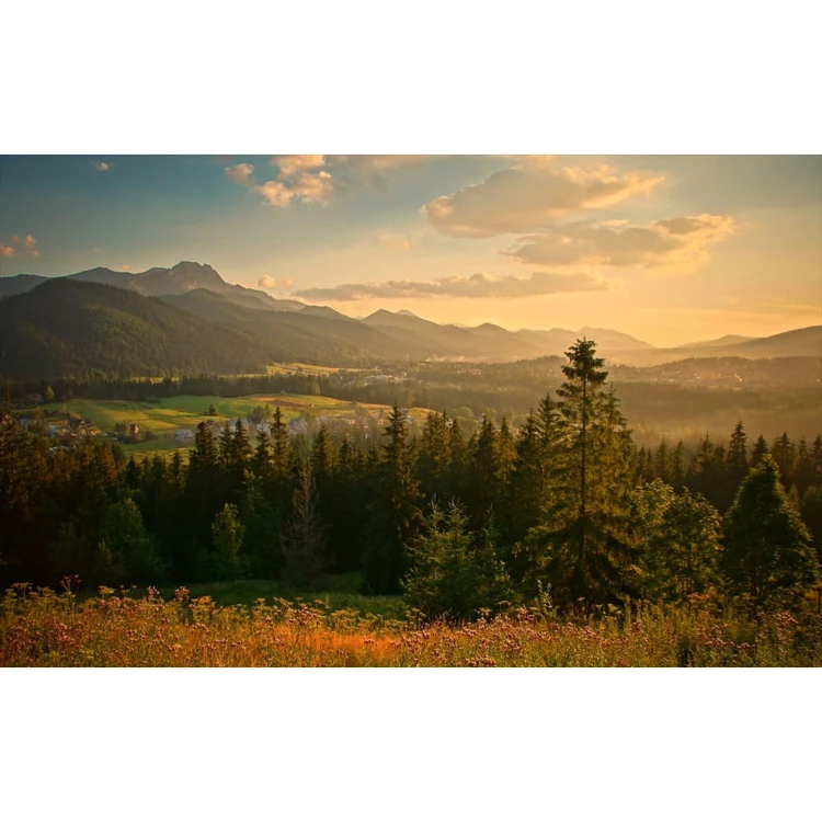 zeszyt-w-twardej-oprawie-a4-liniajpg.webp