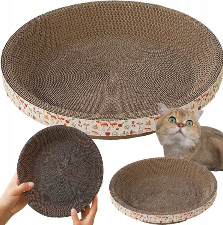 Drapak.png